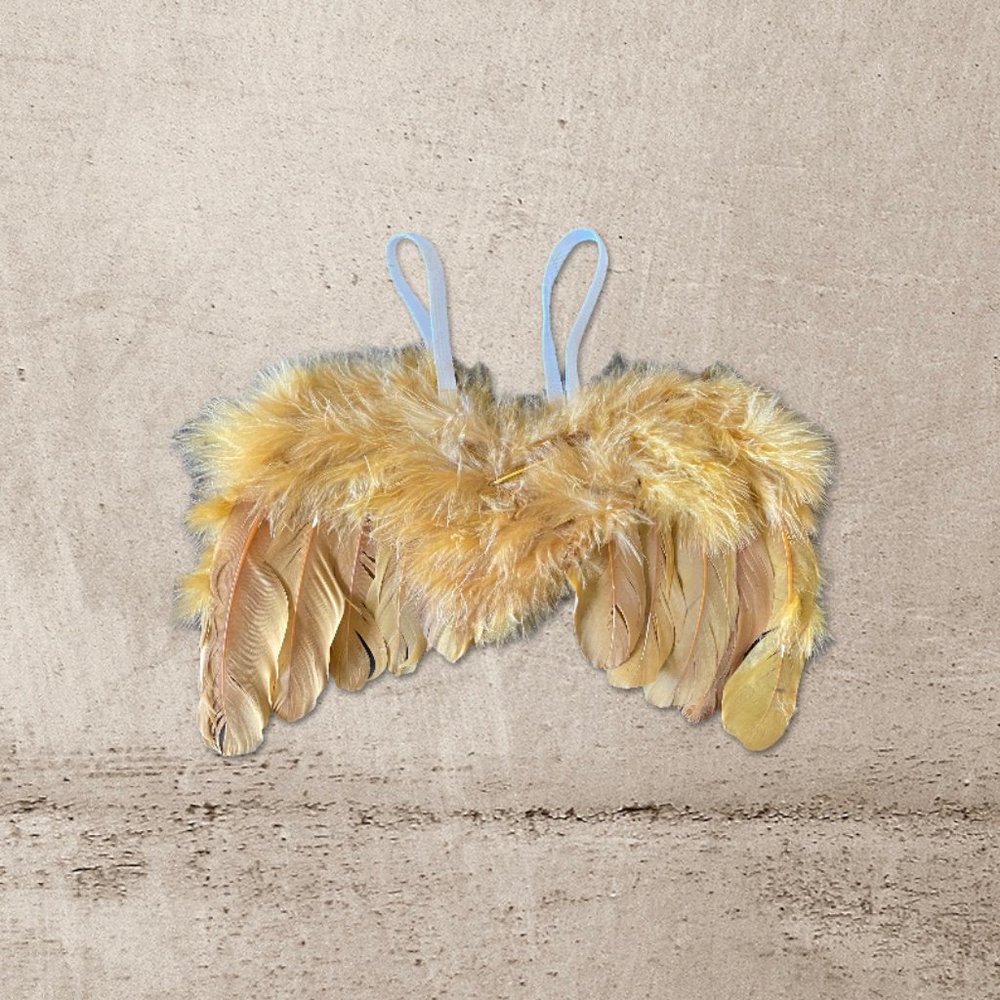 Halloween Baby Toddler Feather Angel Wings